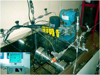 Experimental and Modeling Study of Kinetics for Hydrate Decomposition Induced by Depressurization in a Porous Medium